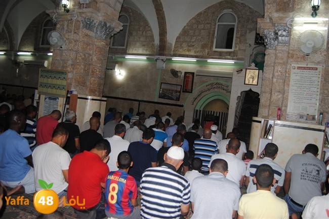 TARAWE7 RAMLA 3OMARI (7).JPG